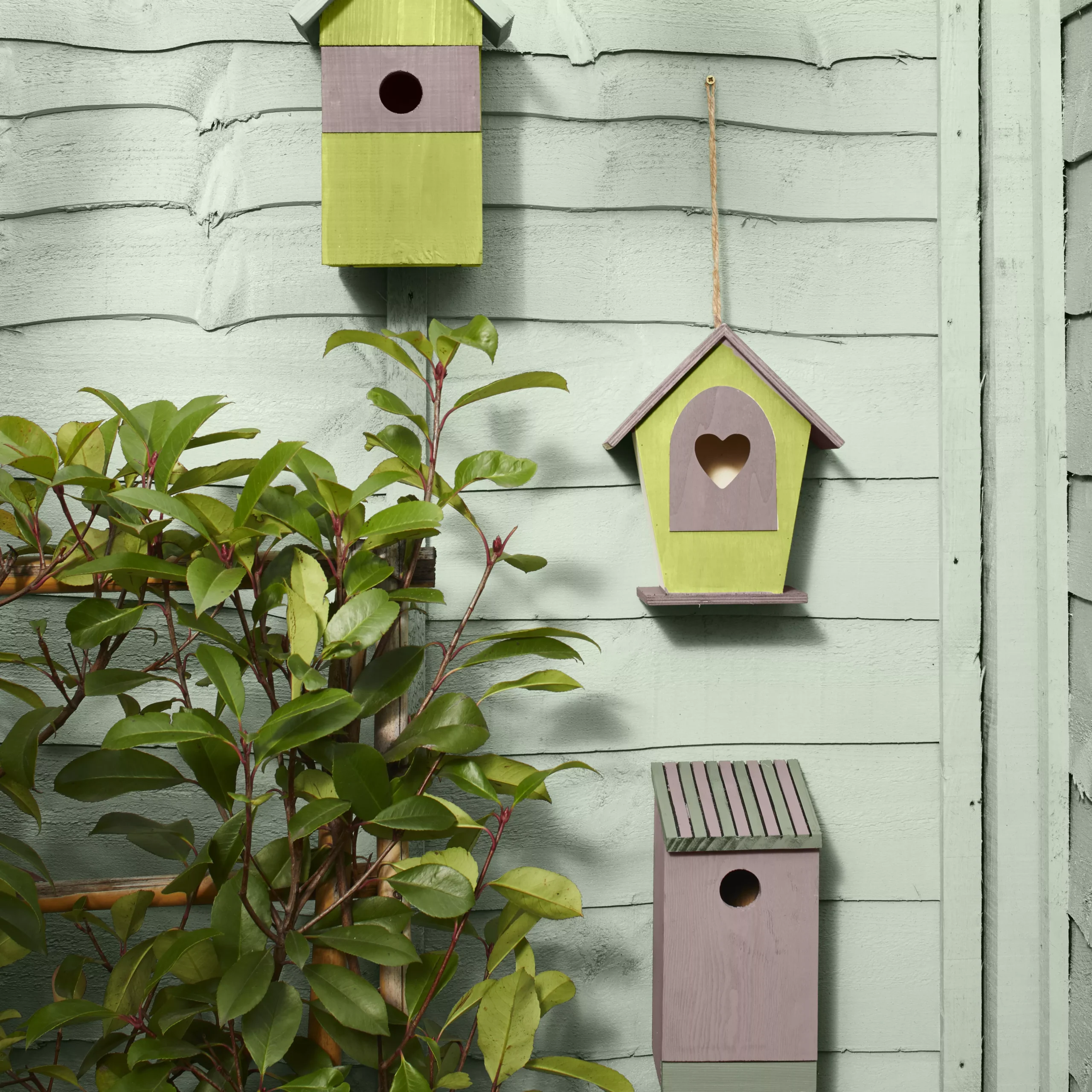 Cuprinol Garden Shades Fresh Rosemary Matt Multi-surface Exterior Wood Paint, 2.5L - Image 4