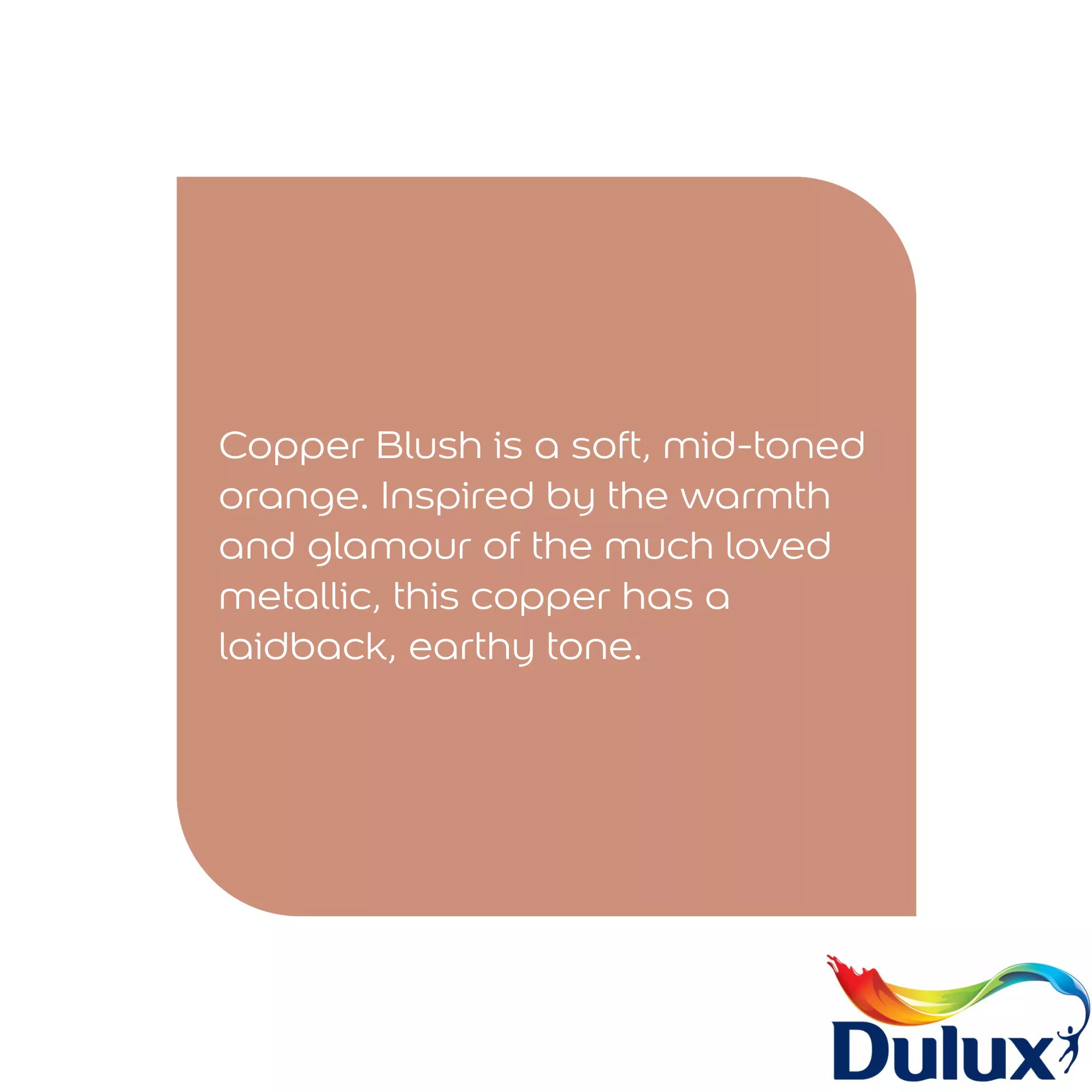 Dulux Easycare Kitchen Copper Blush Matt Wall Paint, 2.5L - Image 5